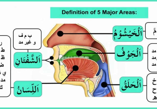 The Role of Tajweed in Perfecting Quran Recitation